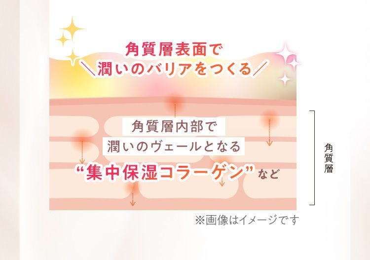 角質層に浸透潤いを保つ